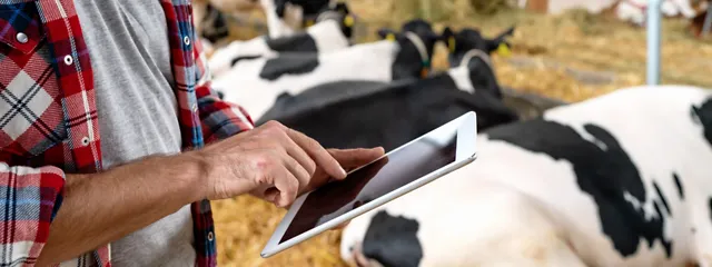 News & Media Mann mit Tablet im Kuhstall