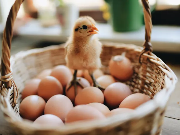 HÜLS_Weihnachten_3000x2000px