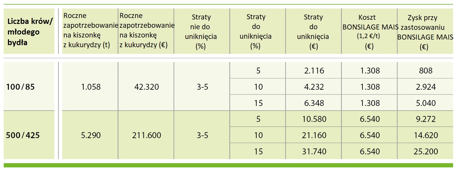 Straty suchej masy w kukurydzy