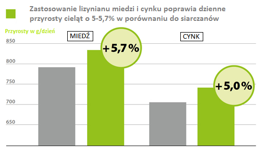 AMINOTRACE u bydła