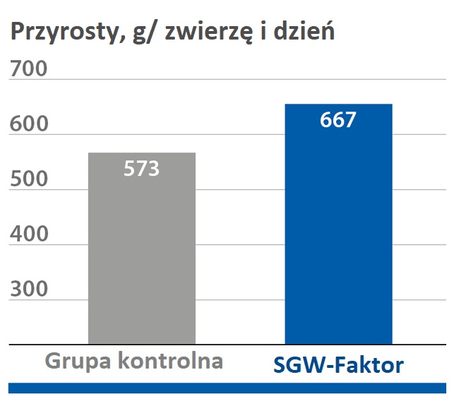 SGW-Faktor