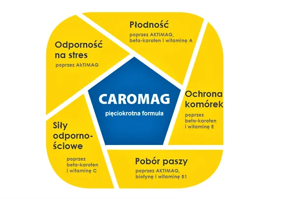 CAROMAG dla krów mlecznych