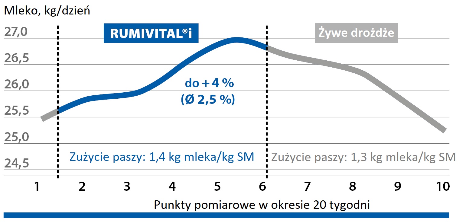 RUMIVITAL®i poprawia zużycie paszy i wydajność mleczną
