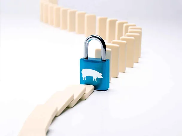 SCHAUMACID- kwasy paszowe