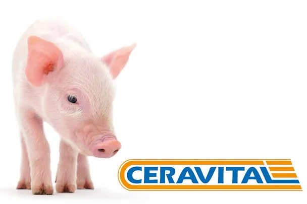 CERAVITAL w odchowie prosiąt