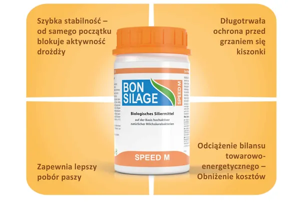 Kiszonka z kukurydzy