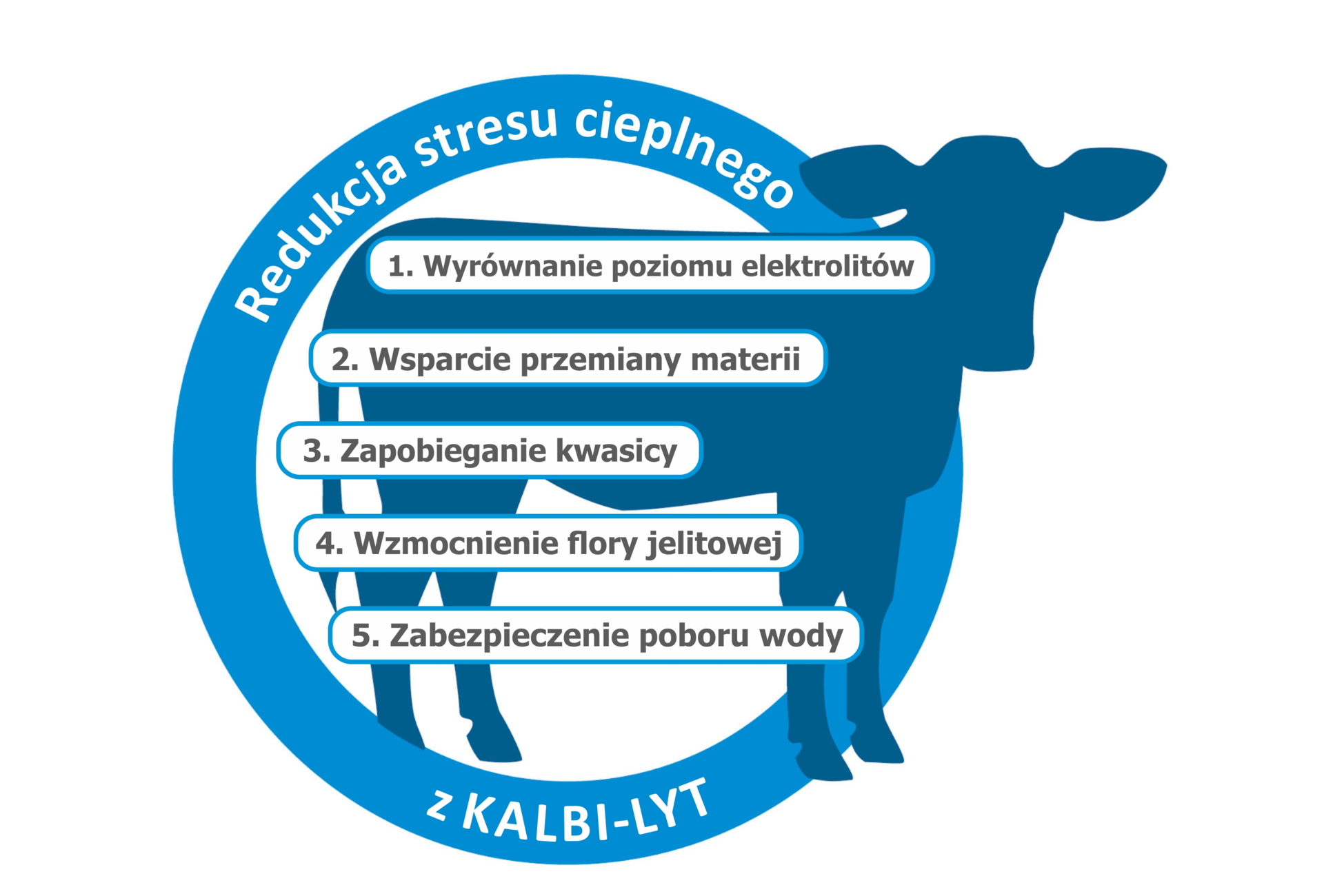Kalbi-Lyt chroni je przed negatywnym oddziaływaniem stresu cieplnego Kalbi-Lyt chroni je przed negatywnym oddziaływaniem stresu cieplnego