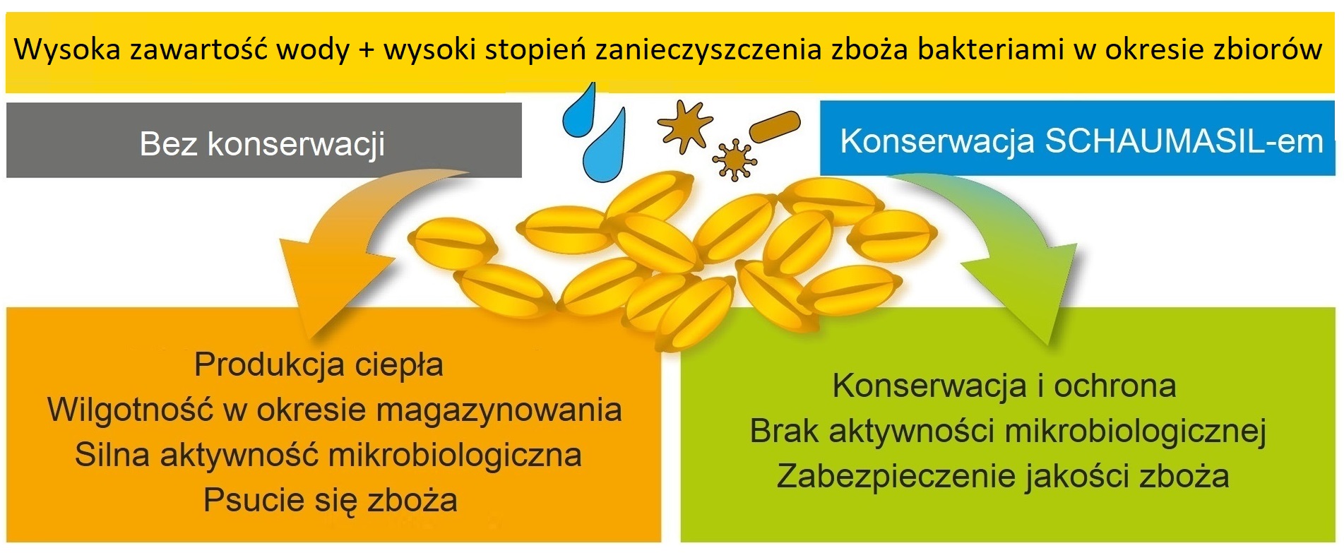 SCHAUMASIL przeciwdziała psuciu się zboża