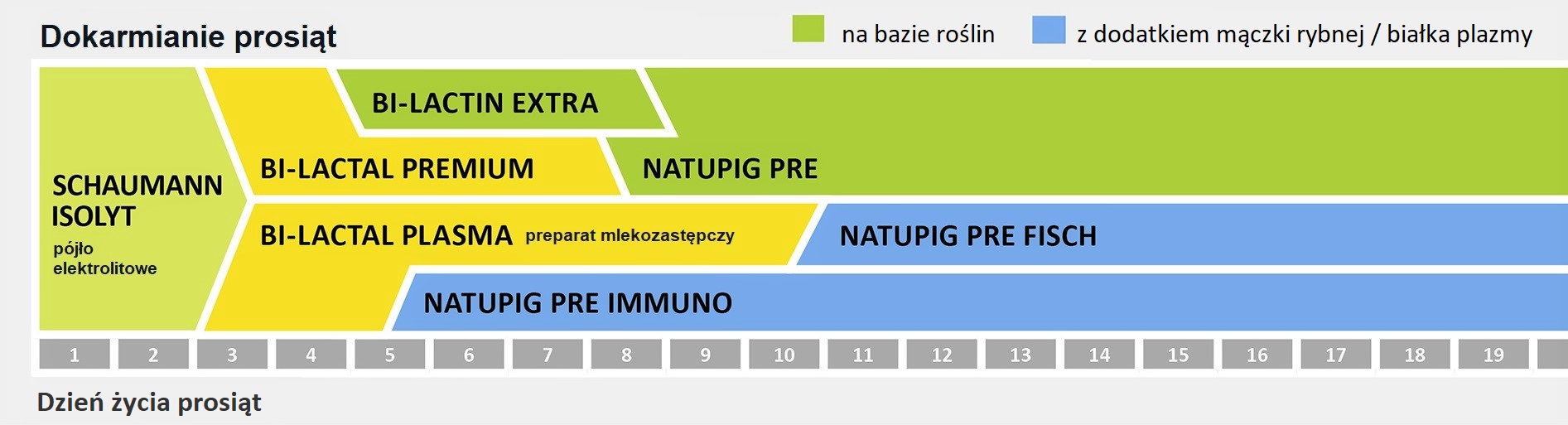 Dokarmianie prosiąt ssących