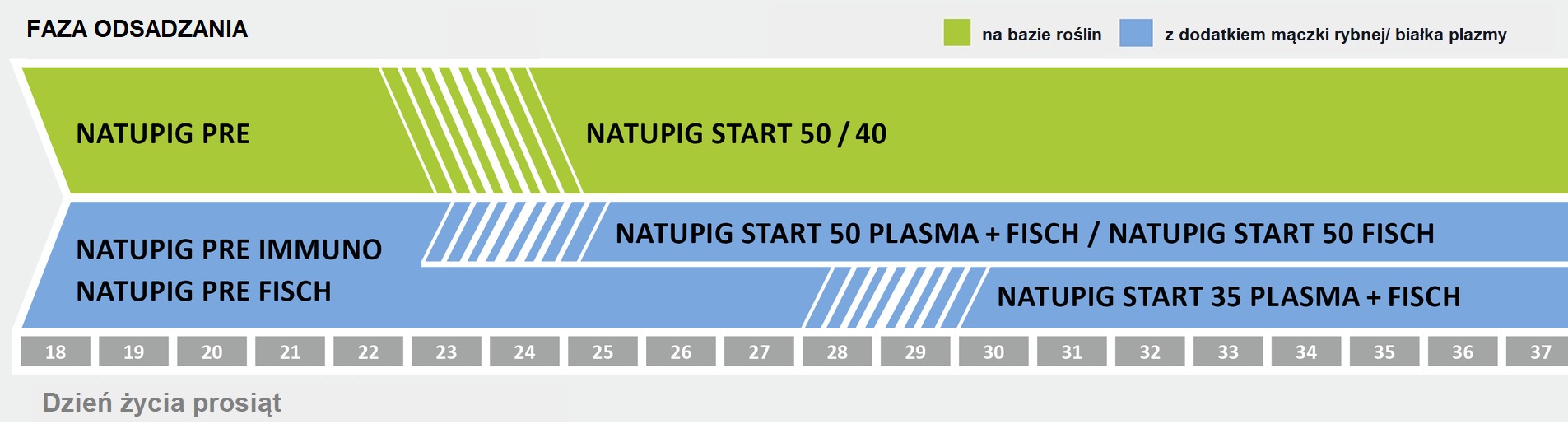 Żywienie w fazie odsadzania