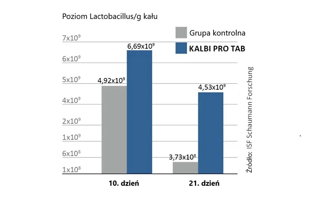 Bakterie kwasu mlekowego, zawarte w KALBI PRO TAB zasiedlają jelita szybko i trwale