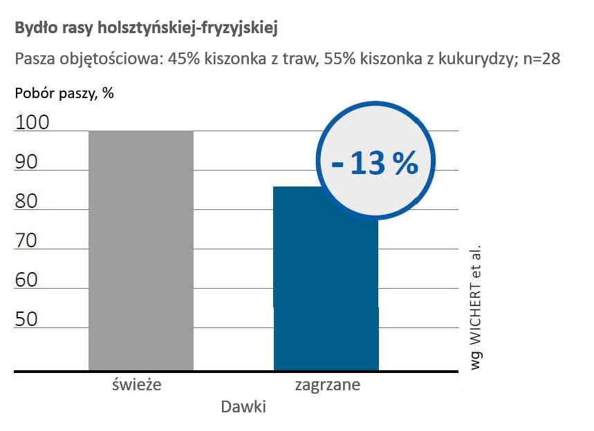 Przegrzewanie TMR wpływa na redukcję poboru paszy przez krowy