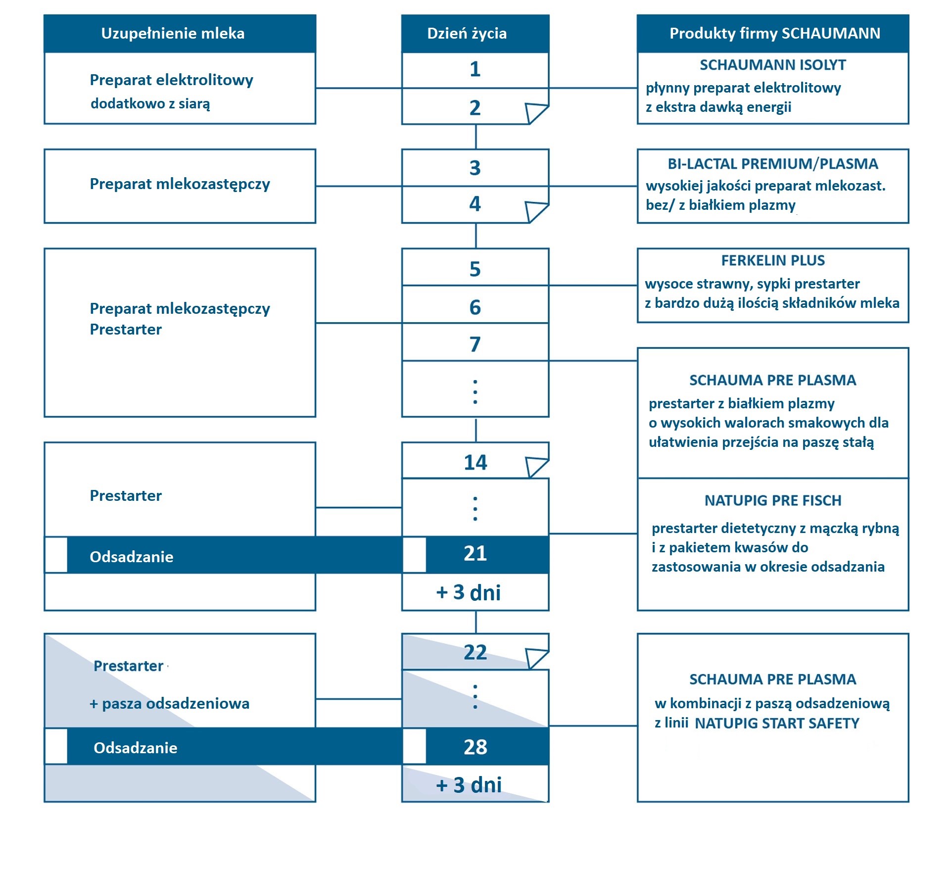 Przegląd produktów do dokarmiania prosiąt
