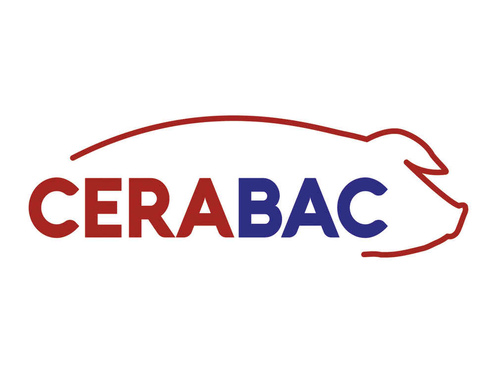 CERABAC hamuje rozwój bakterii chorobotwórczych i stymuluje odporność