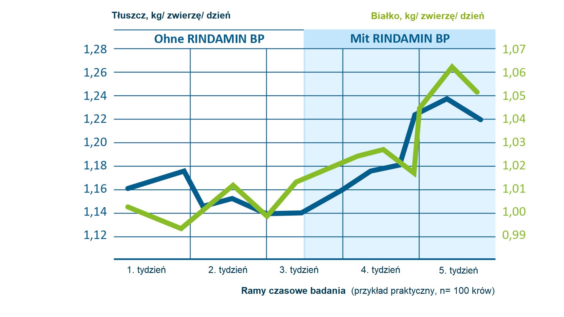 Rindamin BP