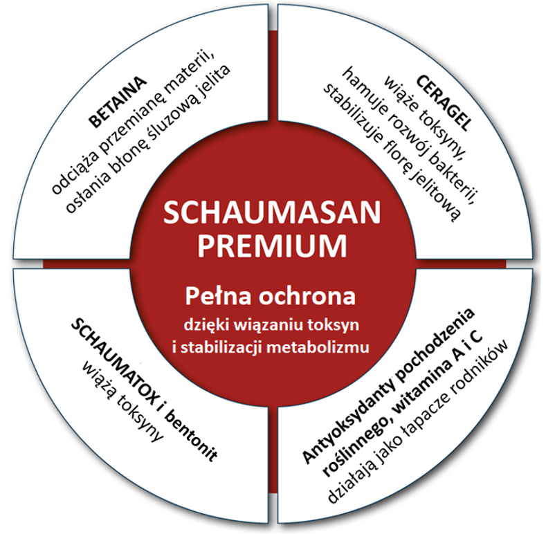  Elementy składowe SCHAUMASAN PREMIUM