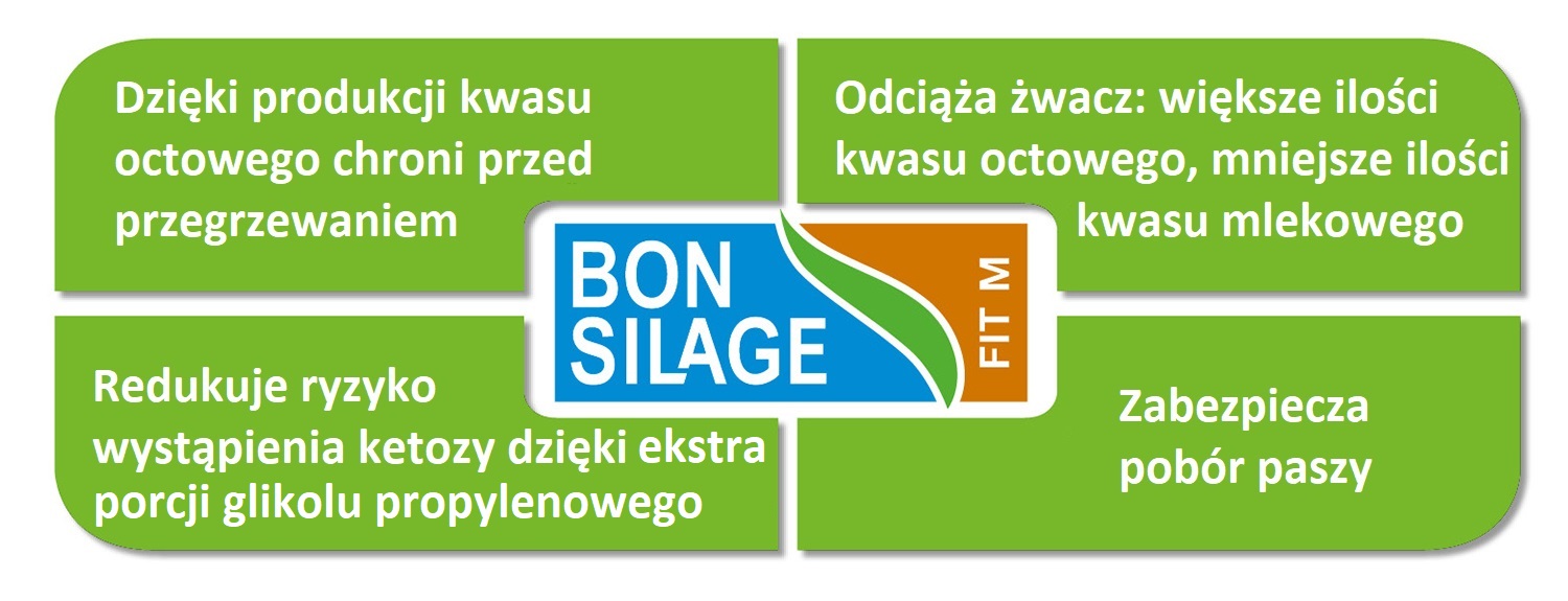 Działanie Bonsilage FIT M 