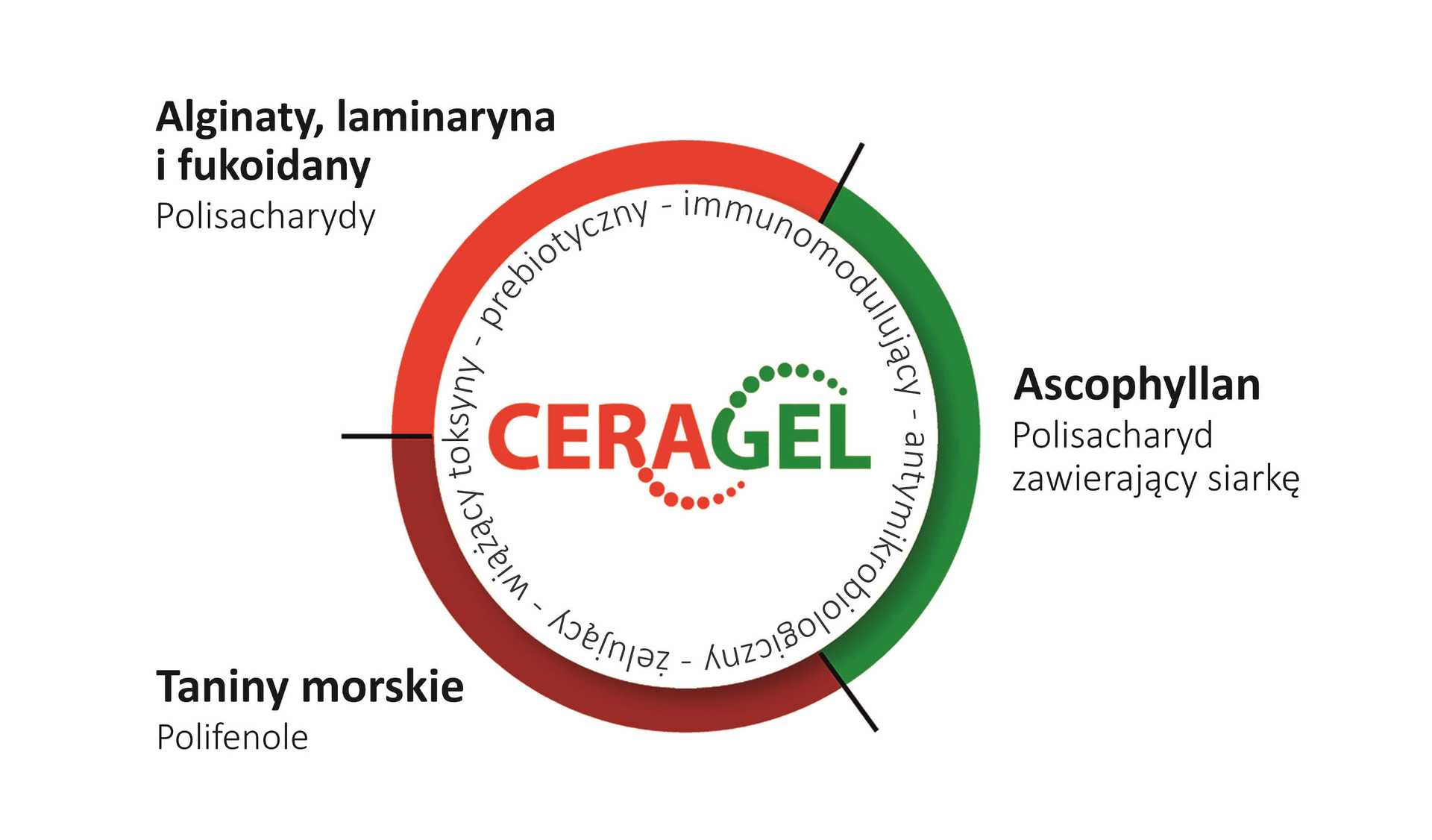 Działanie CERAGEL
