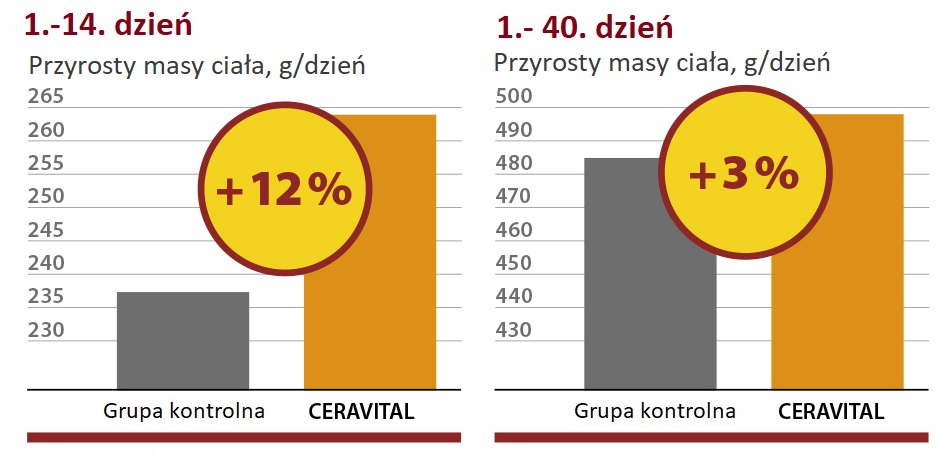 Przyrosty masy ciała