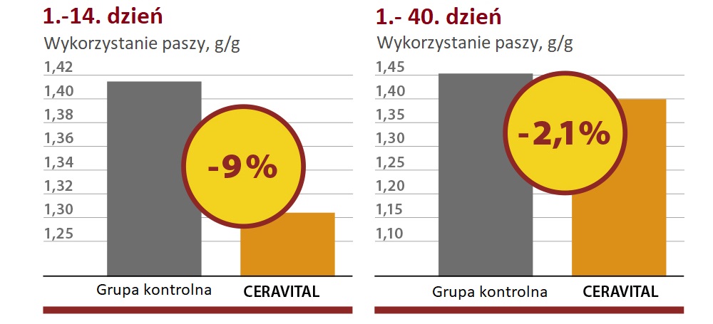 Wykorzystanie paszy