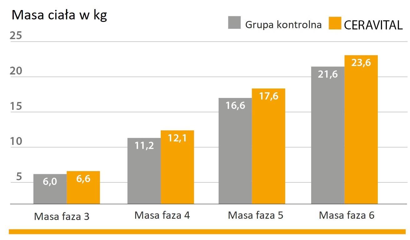 CERAVITAL wspomaga dynamikę przyrostu masy ciała indyków