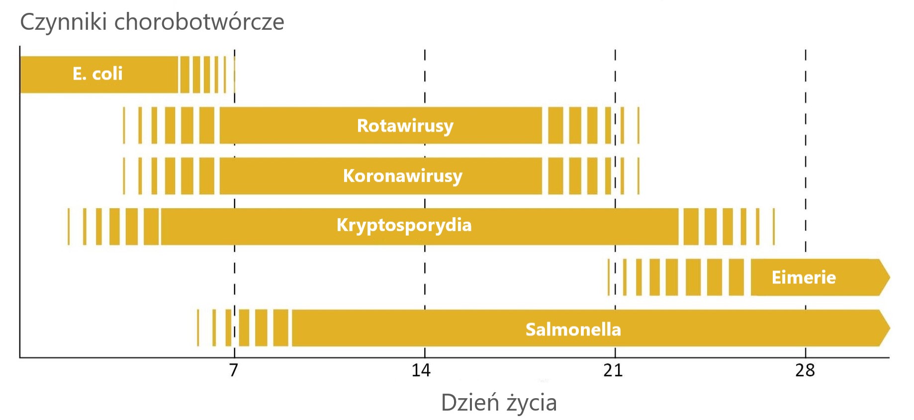 Czynniki chorobotwórcze