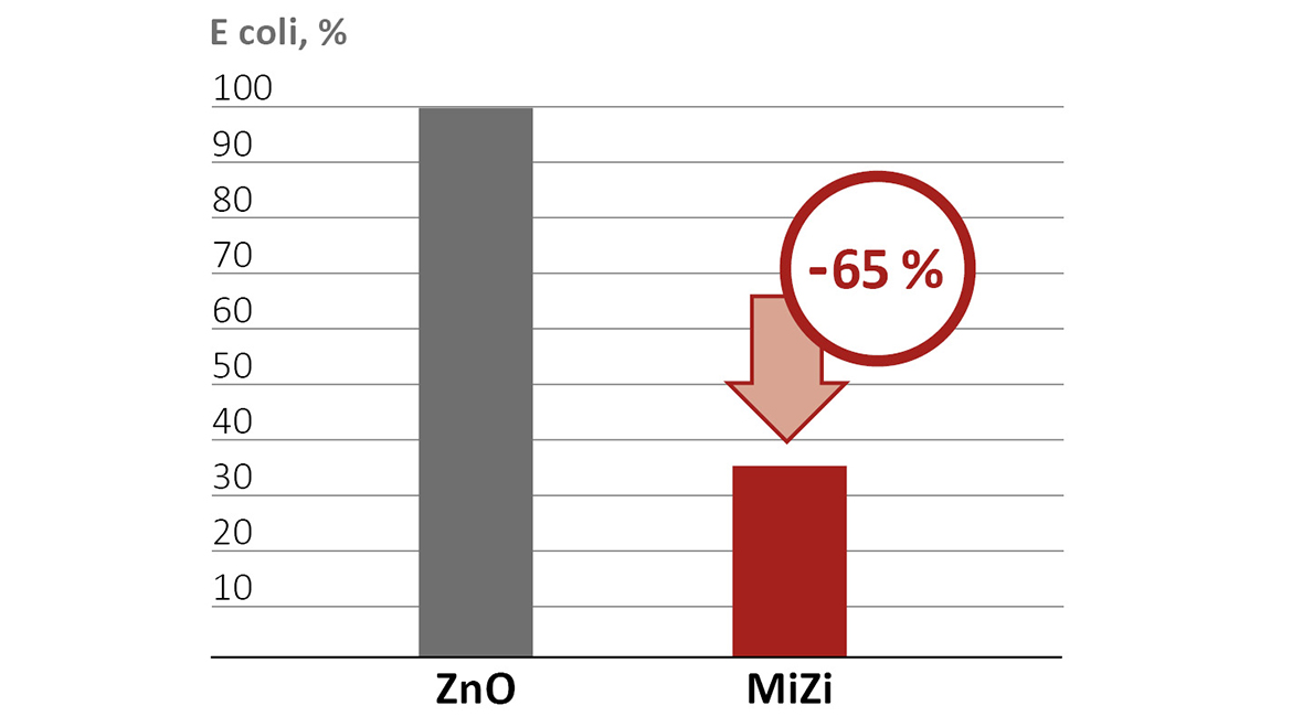 Spadek względnej ilości E. coli o 65 % (w porównaniu do żywienia z tradycyjnym tlenkiem cynku, 120 mg ZnO/kg paszy pełnoporcjowej)