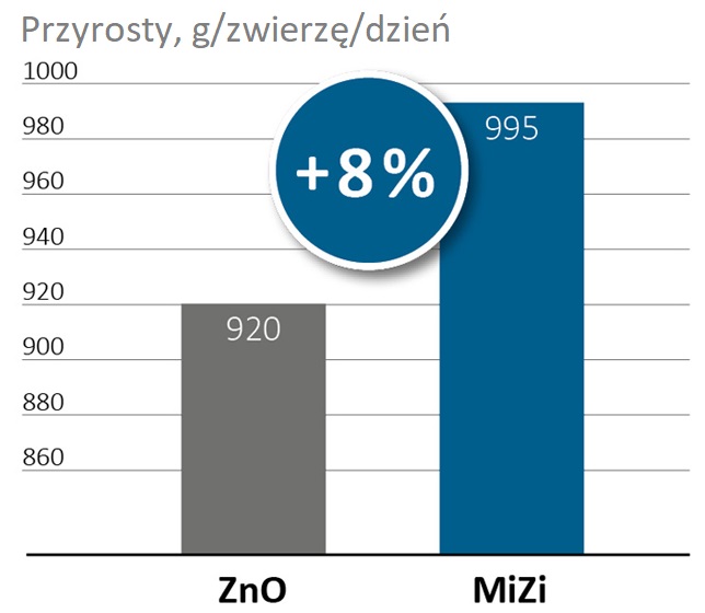 Wyższe dzienne przyrosty z MiZi 