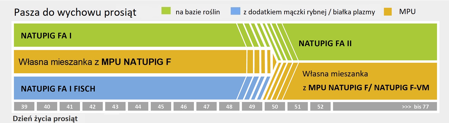 Pasza do wychowu prosiąt