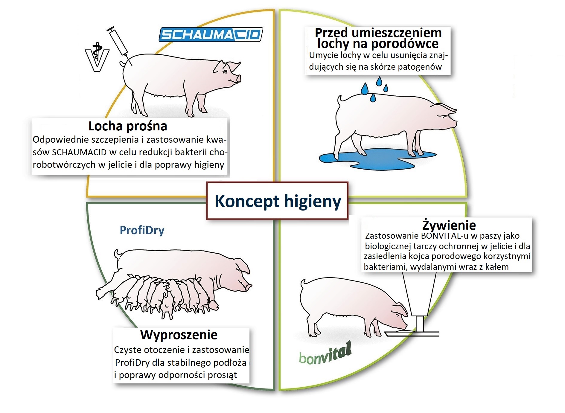 Koncept higieny