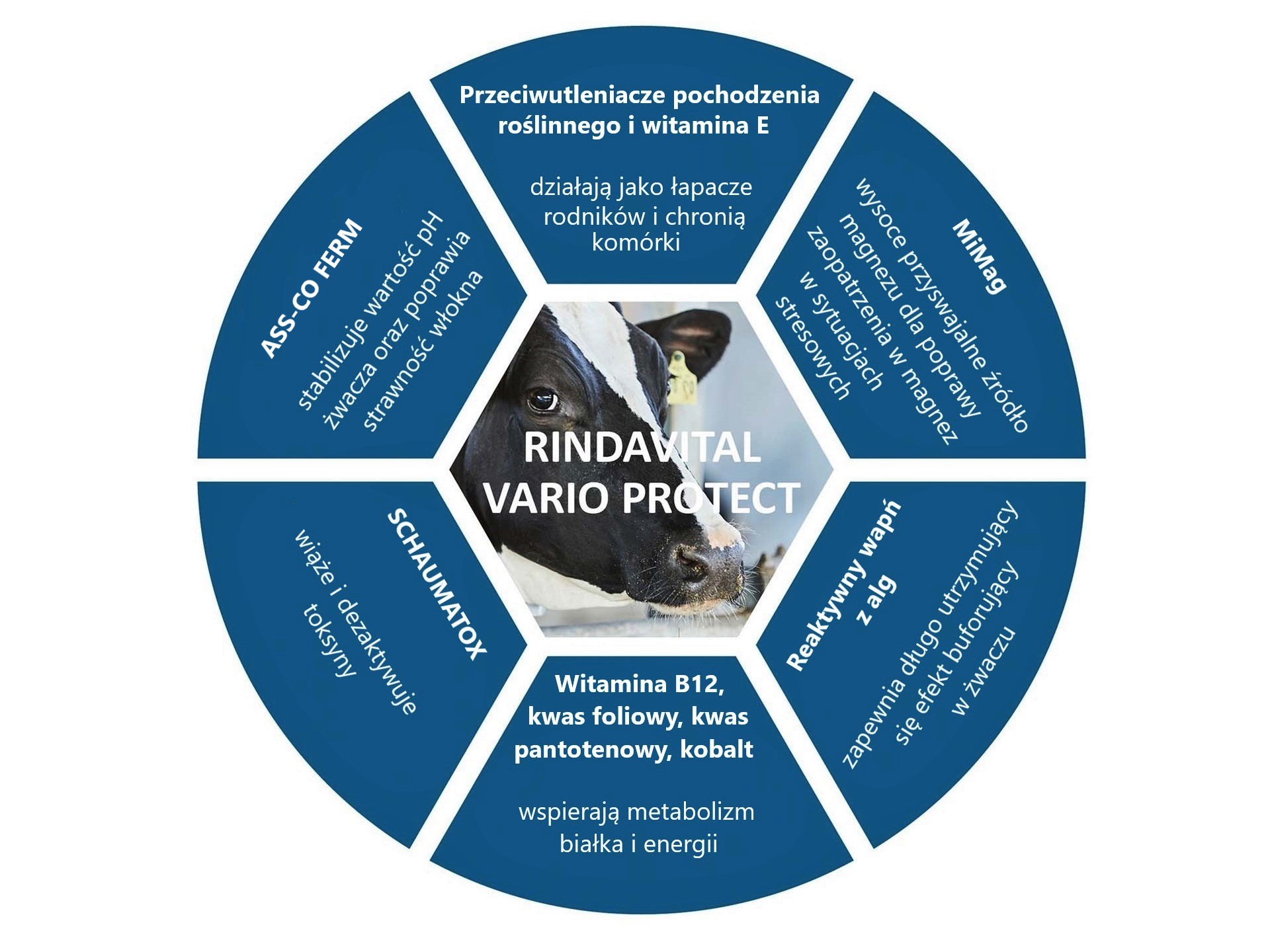 Co składa się na RINDAVITAL VARIO PROTECT
