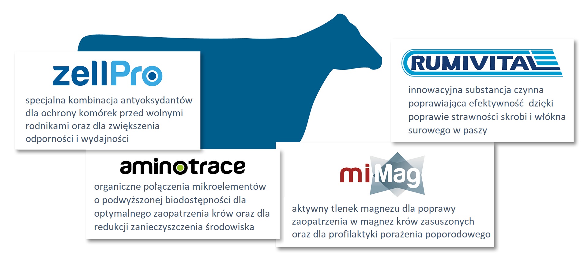 Substancje czynne SCHAUMANN-a w produktach RINDAVITAL VK
