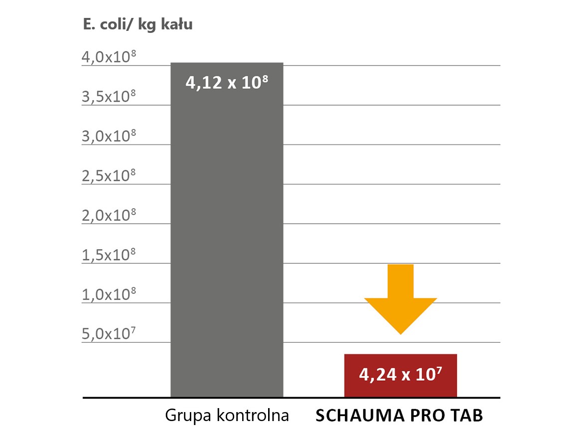 SCHAUMA PRO TAB zmniejsza ilość E. coli