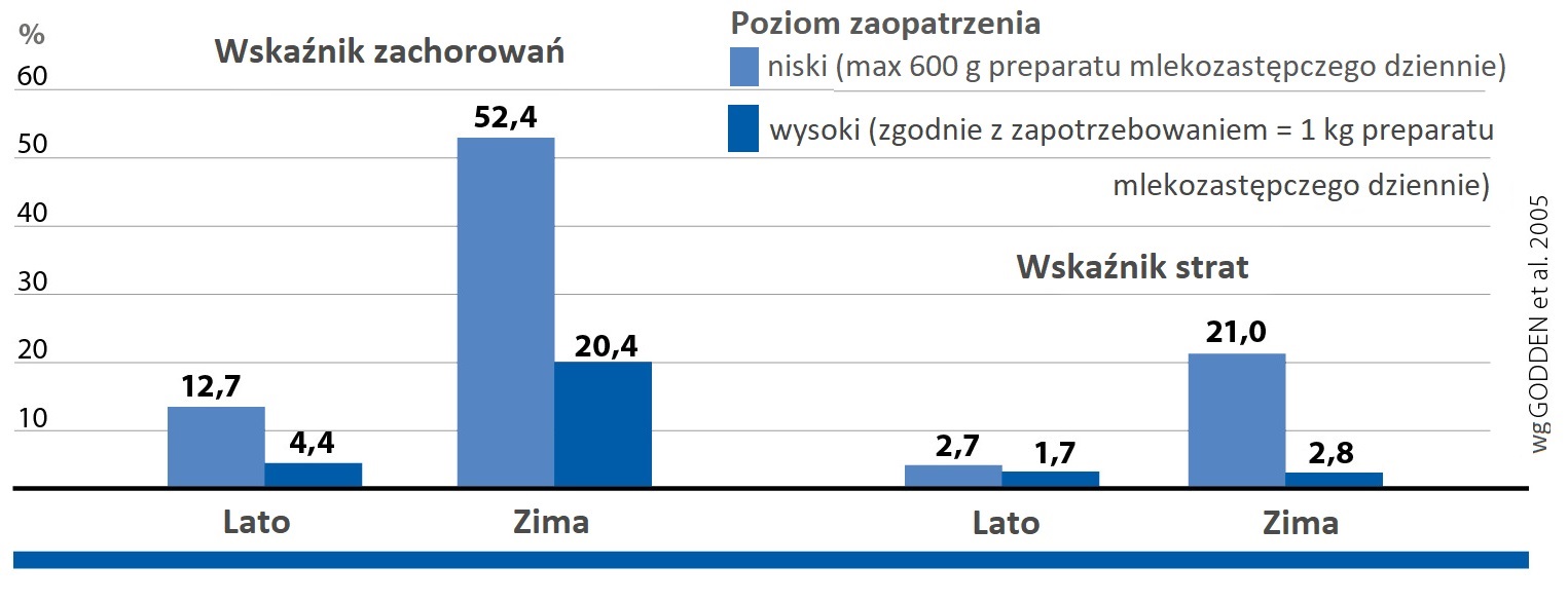 Poziom zaopatrzenia a wskaźnik strat i zachorowań u cieląt